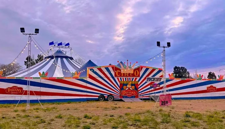Allanaron un circo y rescataron a más de diez animales en situación de maltrato en Río Negro