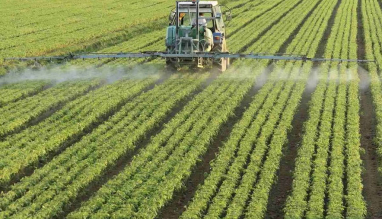 Productores rafaelinos temen perder tierras productivas por decisiones judiciales