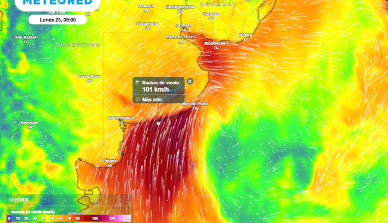 El aire polar avanza sobre toda la Argentina: pronóstico para el inicio de la primera semana del invierno 2025