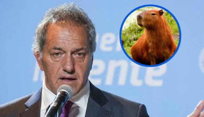 La idea de Daniel Scioli para evitar la superpoblación de carpinchos en Nordelta