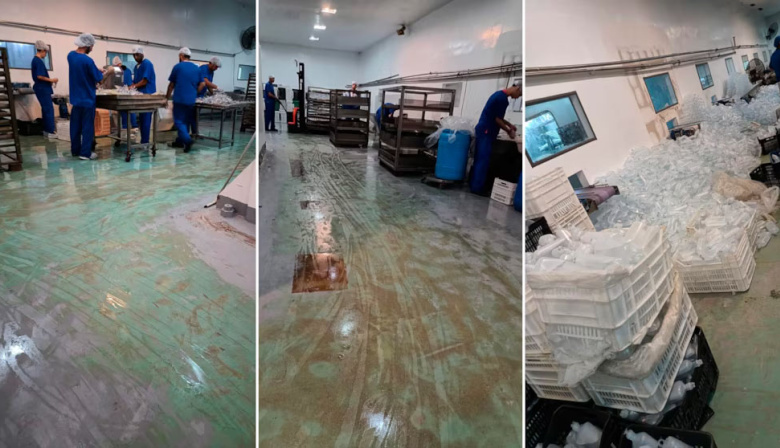 “Había ratas y la gente se descomponía por el calor”: así producían el fentanilo mortal los empleados de Furfaro
