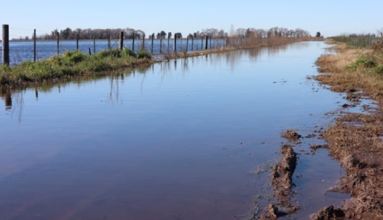 Estiman que hay más de 3 millones de hectáreas afectadas por las inundaciones en la provincia de Buenos Aires