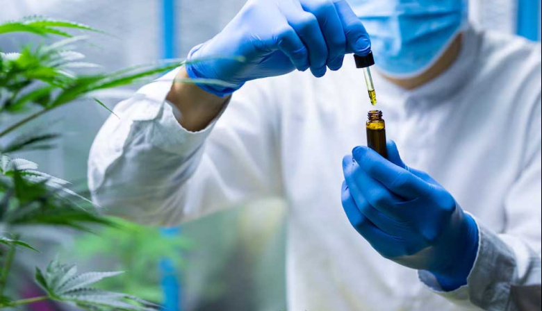 Nueva investigación Argentina sobre el uso de cannabidiol en epilepsias