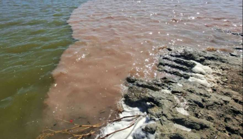 Procesaron al titular de un frigorífico acusado de un grave hecho de contaminación en el Río Salado