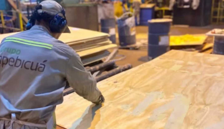 Una empresa forestal de Corrientes entró en concurso preventivo con una deuda de $11.500 millones