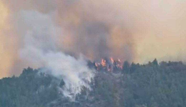 Incendios en la Patagonia: el fuego ya arrasó con 12 mil hectáreas en ...