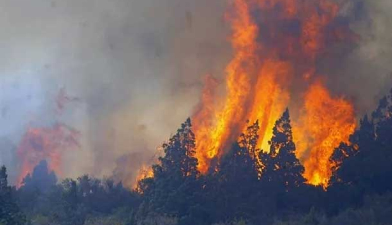 Escándalo en Cholila: denuncian que falsos voluntarios vendían las donaciones para los incendios
