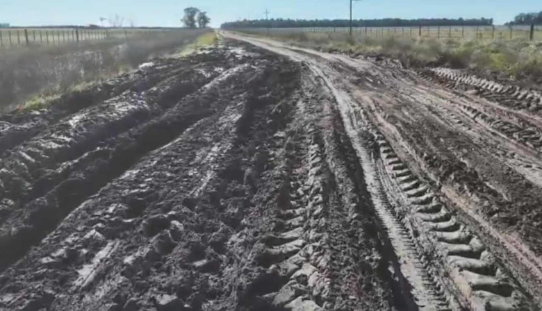 “Apenas el 15% de los caminos del país está pavimentado”: el desafío de la red vial rural