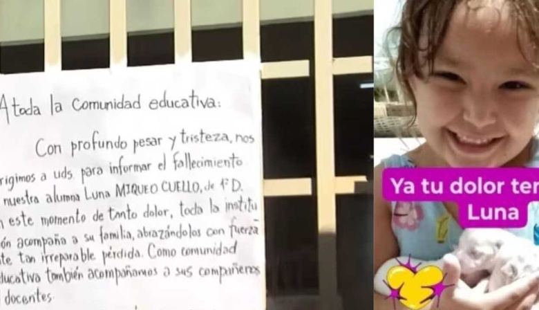 Tragedia en la escuela: una nena de 6 años se tropezó con los cordones, se golpeó contra un banco y murió