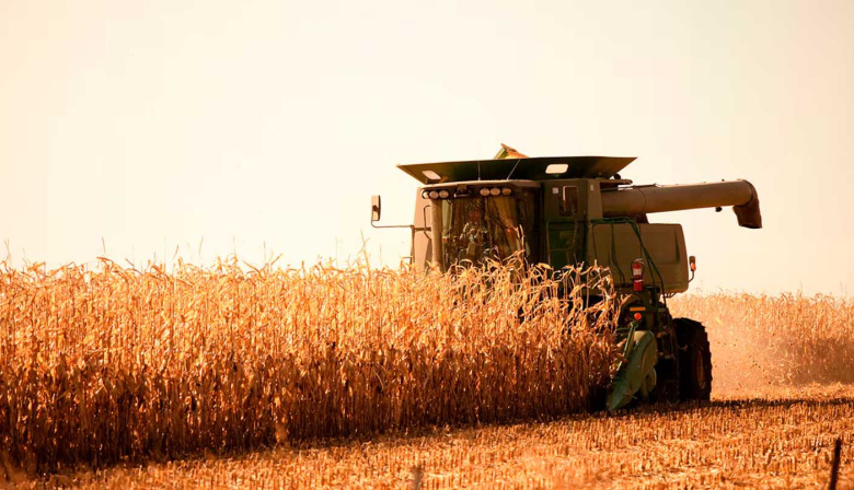 El Gobierno oficializó la baja de las retenciones para el agro: cómo quedan y a qué granos alcanza