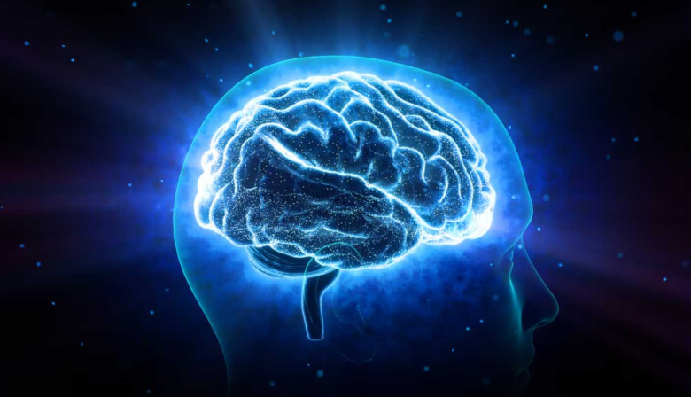 Día del Síndrome GLUT1, la enfermedad genética poco frecuente que afecta el transporte de energía hacia el cerebro