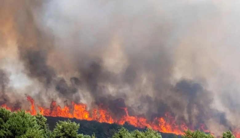 Emergencia. España: el incendio de Guadalajara arrasó 32 hectáreas en medio de una ola de calor histórica