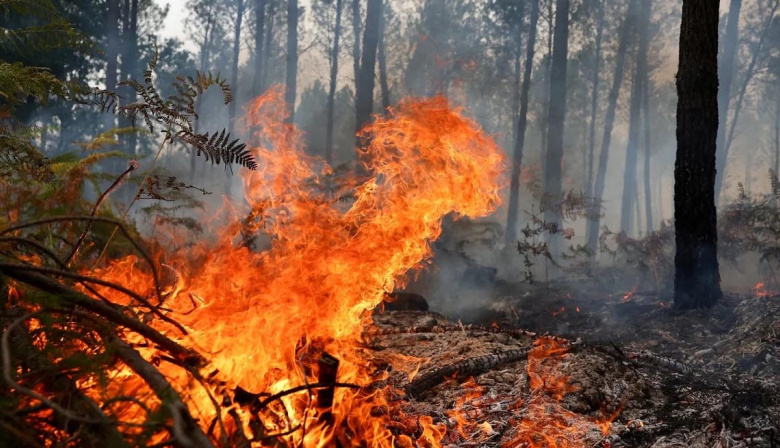 Francia marca un récord de incendios y España supera las 126.000 hectáreas quemadas