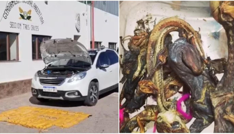 Cayó “la banda de la magia negra” en Jujuy: tenían 61 kilos de cocaína y hacían “brujerías” para proteger los cargamentos