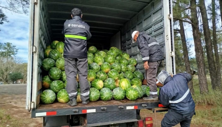 En la provincia de Corrientes se evitó el transporte de casi 9 toneladas de frutas que carecían de garantías sanitarias