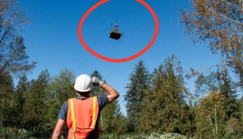 El insólito plan para salvar un humedal: lanzaron 90 islas con plantas nativas desde un helicóptero