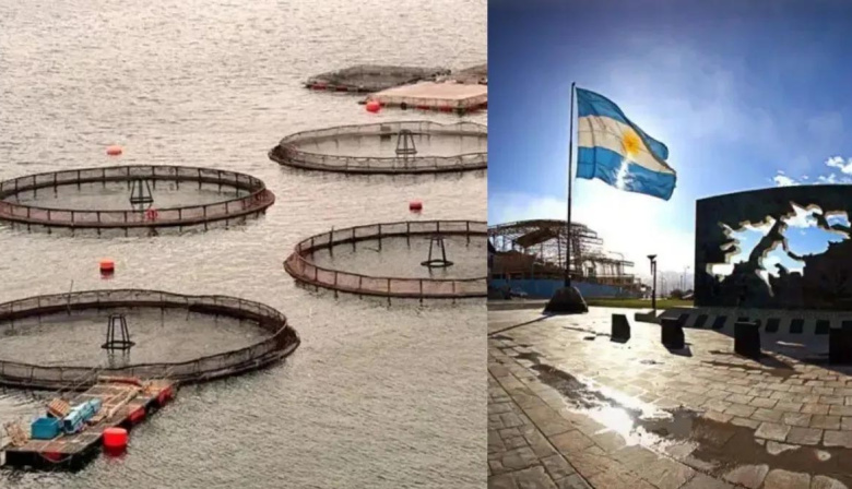 Malvinas, un mes después de la bandera: un megaproyecto salmonero pone en alerta a las islas