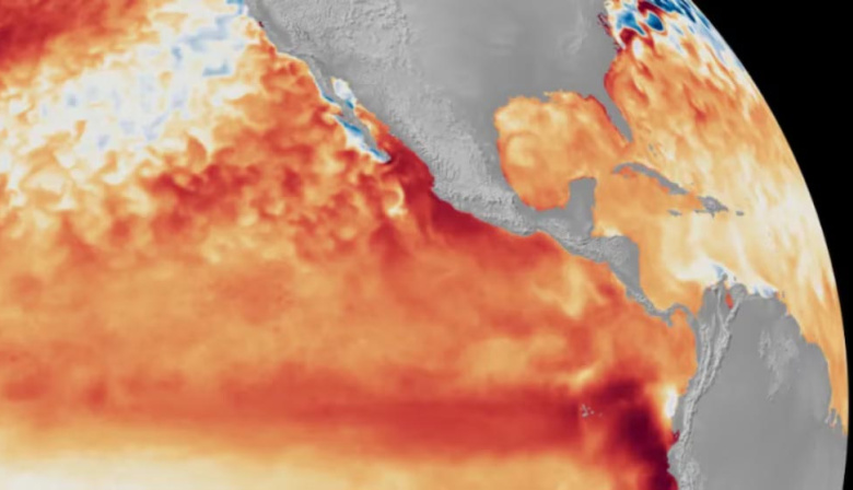 Un sistema nacional de alerta sanitaria y respuesta anticipada: así se prepara Argentina para enfrentar a El Niño