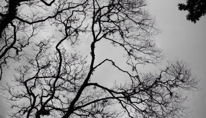 Por qué el cielo está tan gris en Argentina y hasta cuándo seguirá la falta de sol