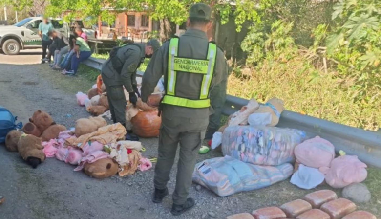 Un tour de compras con destino a Mendoza llevaba 54 kilos de droga escondidos en peluches