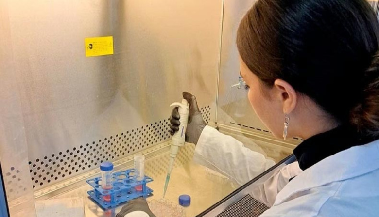 Científicos de la UBA avanzan en un test de sangre para detectar trastornos del neurodesarrollo en niños