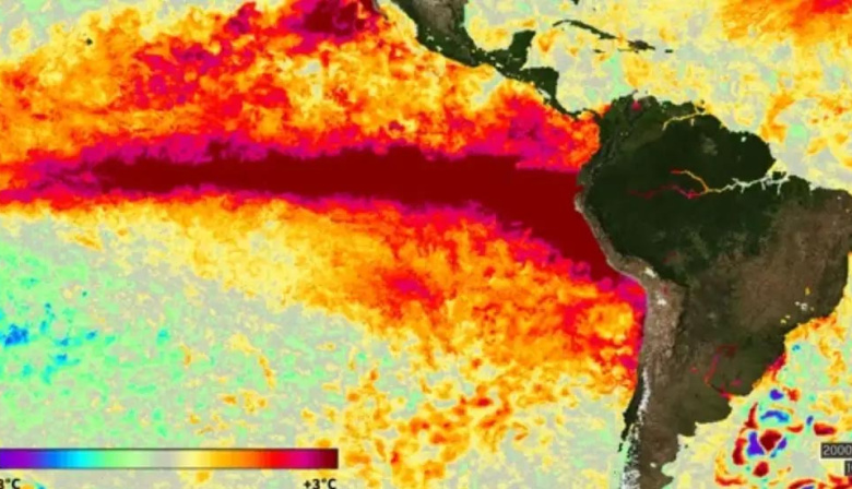 Alerta por el Súper El Niño: aseguran que podría causar medio millón de muertes y tener consecuencias irreversibles