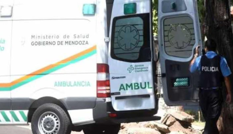 Mendoza: un nene de 5 años murió atropellado tras caer de la caja de la camioneta de su papá