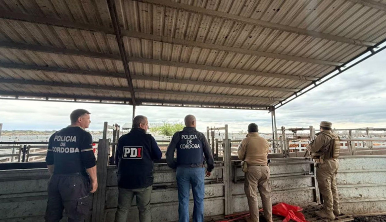 Recuperaron en Córdoba 135 vacas valuadas en $165 millones compradas con cheques sin fondos