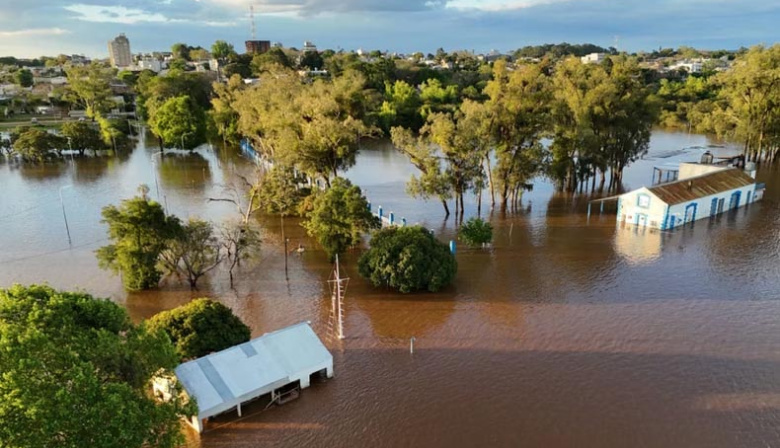 Súper Niño: aparecieron serpientes y yacarés en zonas urbanas por las inundaciones en el Litoral