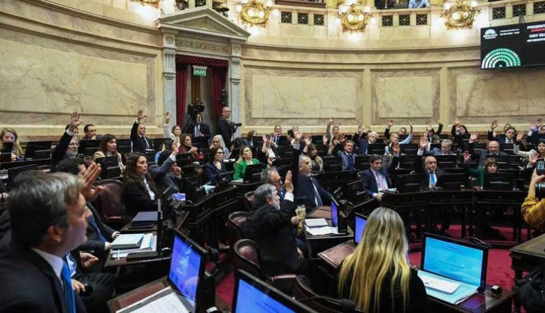 Tras una extensa sesión, el Senado le dio media sanción a la reforma de la Ley de Salud Mental