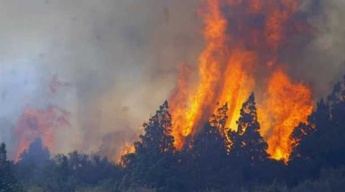 Escándalo en Cholila: denuncian que falsos voluntarios vendían las donaciones para los incendios