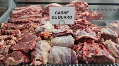 Venta de carne de burro en la Argentina: qué dice la ley, cuánto cuesta y por qué podría expandirse