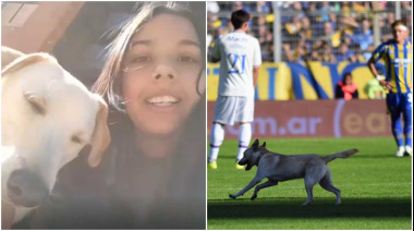 Se escapó, apareció en pleno partido y se volvió viral: la historia de Coco, el perro que sorprendió a todos