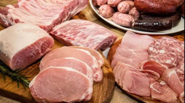 Alarma en Córdoba por brote de triquinosis: hay 23 casos y 9 fueron atribuidos al consumo de jabalí
