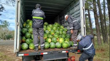 En la provincia de Corrientes se evitó el transporte de casi 9 toneladas de frutas que carecían de garantías sanitarias