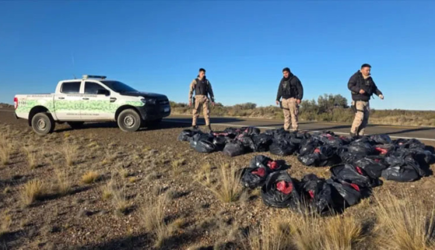 Iban por la ruta 3 con 42 guanacos faenados en la camioneta