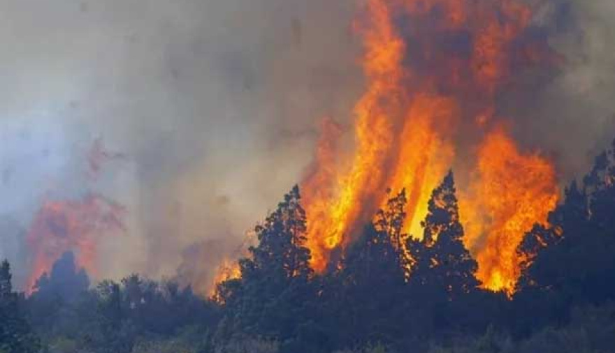 Escándalo en Cholila: denuncian que falsos voluntarios vendían las donaciones para los incendios