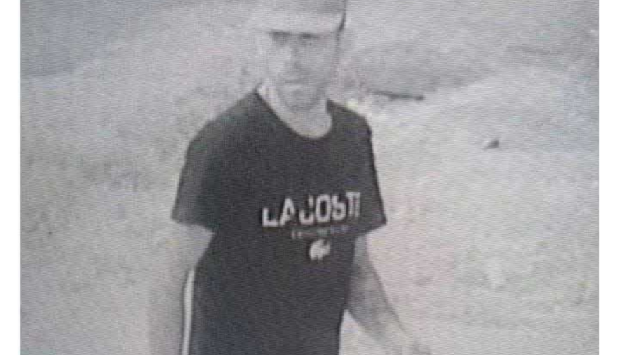 Denuncian que un hombre abusó de una perra callejera