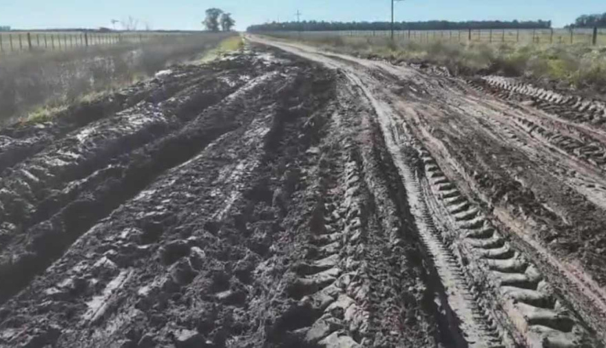 “Apenas el 15% de los caminos del país está pavimentado”: el desafío de la red vial rural