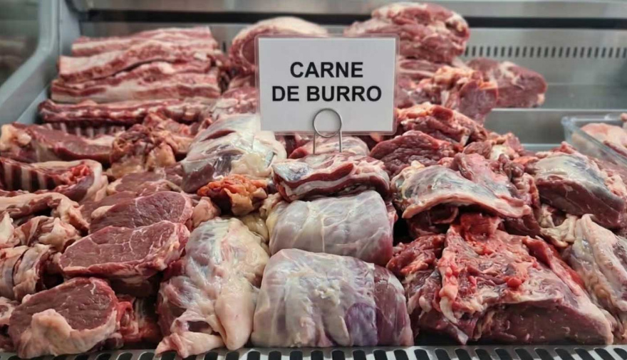 Venta de carne de burro en la Argentina: qué dice la ley, cuánto cuesta y por qué podría expandirse