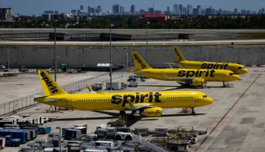 Spirit Airlines anunció el cese de operaciones y canceló todos sus vuelos