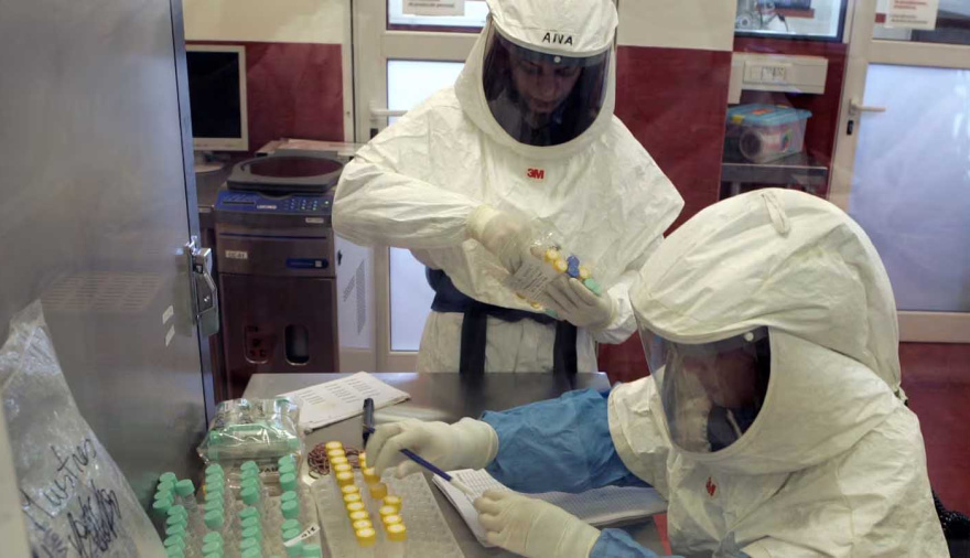 Terminó el operativo del equipo del Malbrán en Ushuaia: no se encontraron ratones que transmiten hantavirus