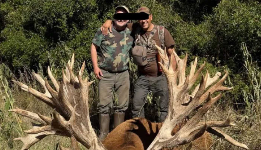 Un empresario brasileño pagó US$40.000 por cazar un ciervo y ahora se investiga una causa por presunto tráfico de fauna