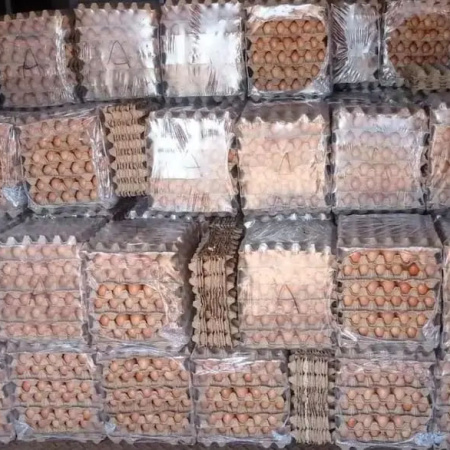 Entran alrededor de 550.000 por día de contrabando y llegan hasta a Tucumán