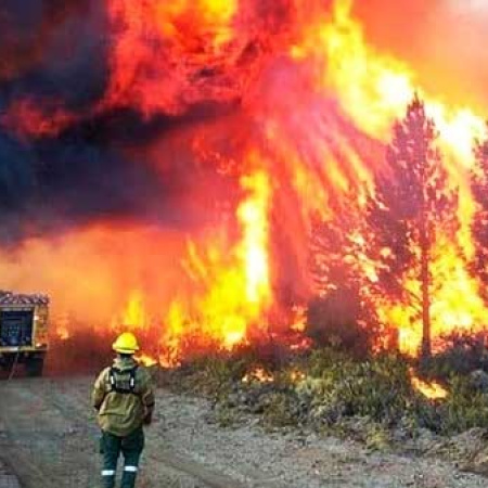 Incendios forestales: el Gobierno firmó el DNU que declara la Emergencia Ígnea en la Patagonia