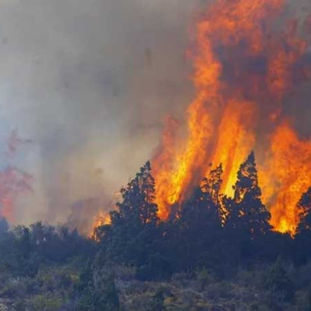 Escándalo en Cholila: denuncian que falsos voluntarios vendían las donaciones para los incendios