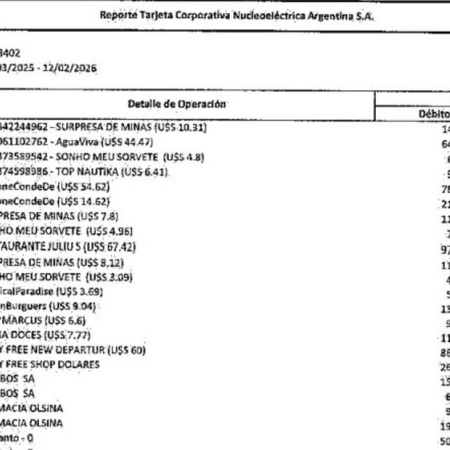 Free shop, hoteles de lujo y millones en efectivo: el informe de Adorni reveló los gastos millonarios de una empresa del Estado