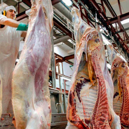 Las exportaciones de carne a EE.UU. tuvieron una fuerte suba y afirman que se generará un “círculo virtuoso”