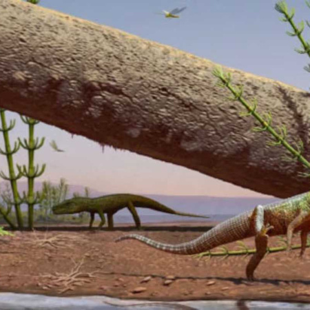 Descubrieron en Brasil el fósil de un reptil de 240 millones de años que desconcertó a los científicos