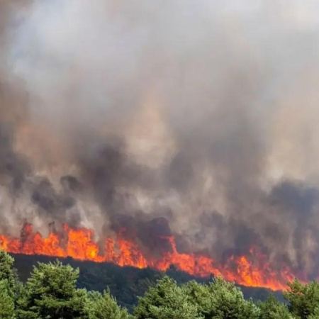 Emergencia. España: el incendio de Guadalajara arrasó 32 hectáreas en medio de una ola de calor histórica